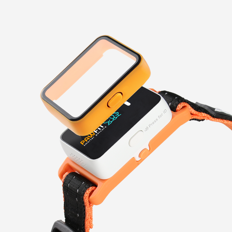GPS Tracking