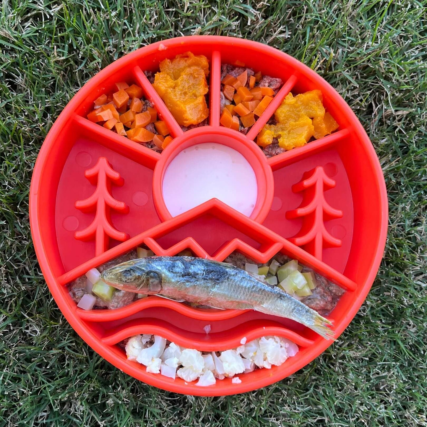 Great Outdoors eBowl