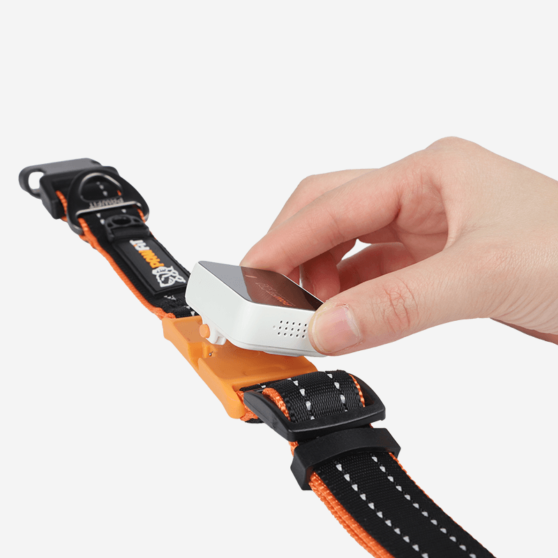 “Heavy‑duty Pawfit‑compatible dog collar with reinforced webbing and adjustable buckle – Red Dirt Dogs Australia.