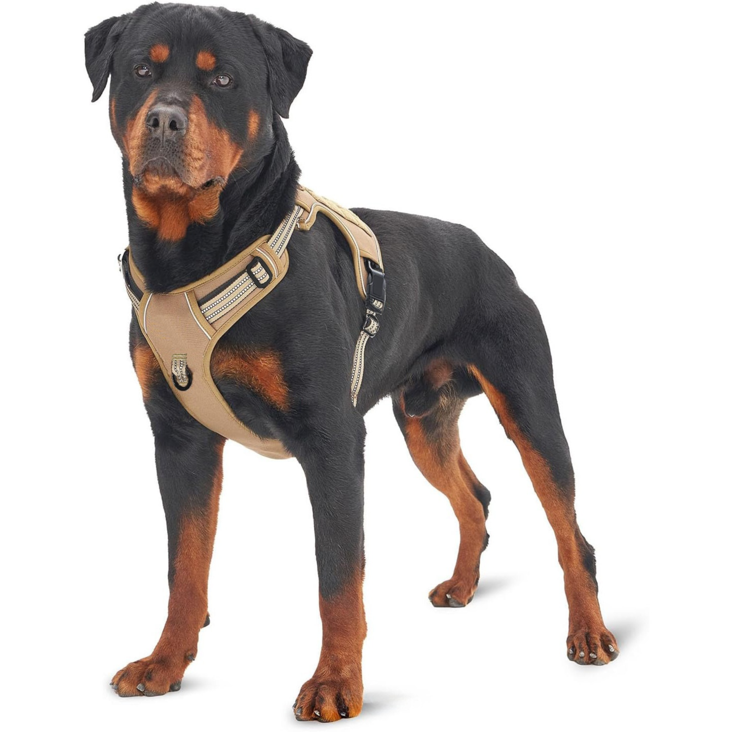 Red Dirt Dogs™ Khaki Tactical No‑Pull Dog Harness – Heavy‑Duty (S–XL)