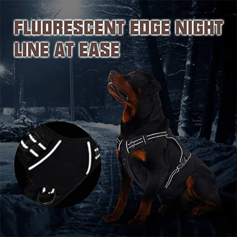 Dog wearing a reflective harness with text about fluorescent edge night line at ease.